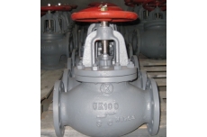 Globe check valve